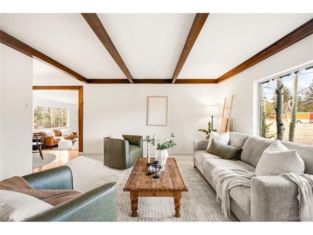 34657 Mohawk Trl, Pine, CO 80470