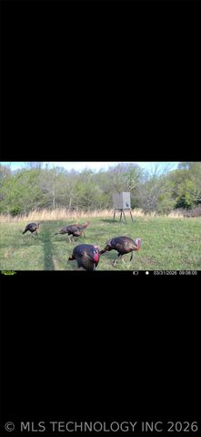 108531 S 4130 Road, Checotah, OK 74426