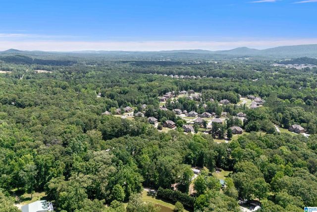 1013 CREEL DRIVE, Moody, AL 35004