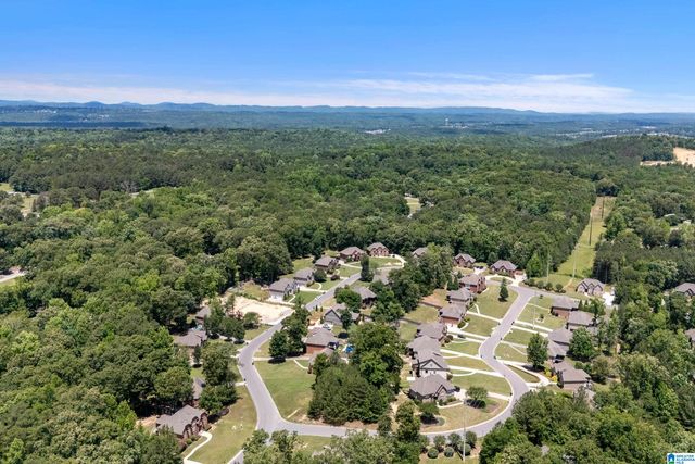 1013 CREEL DRIVE, Moody, AL 35004