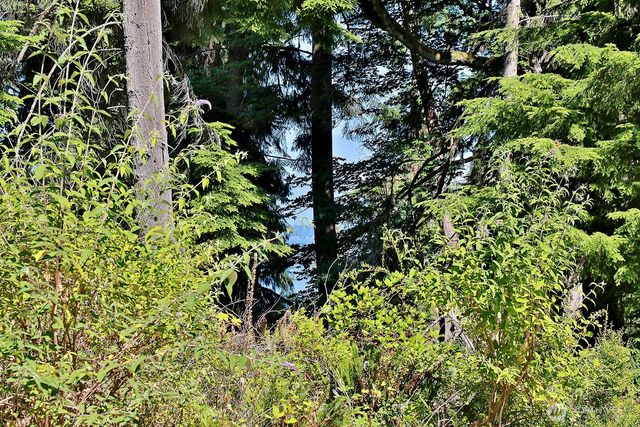 4645 Handy Road, Clinton, WA 98236