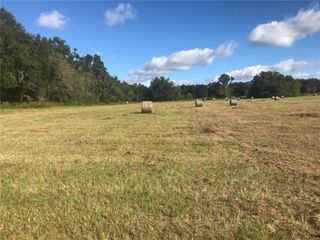 TBD NW 133RD, Reddick, FL 32686