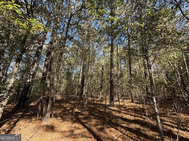 1 Lem Edwards Road, Colbert, GA 30628