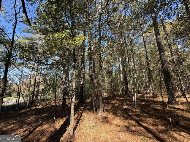 1 Lem Edwards Road, Colbert, GA 30628