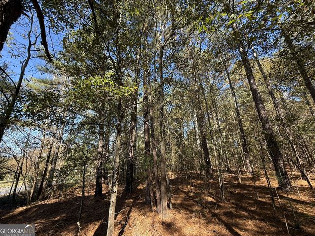 1 Lem Edwards Road, Colbert, GA 30628