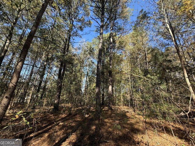 1 Lem Edwards Road, Colbert, GA 30628