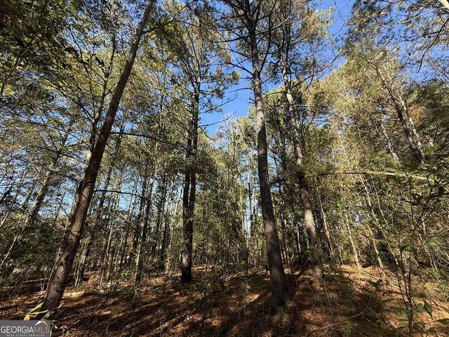 1 Lem Edwards Road, Colbert, GA 30628