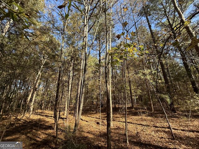 1 Lem Edwards Road, Colbert, GA 30628