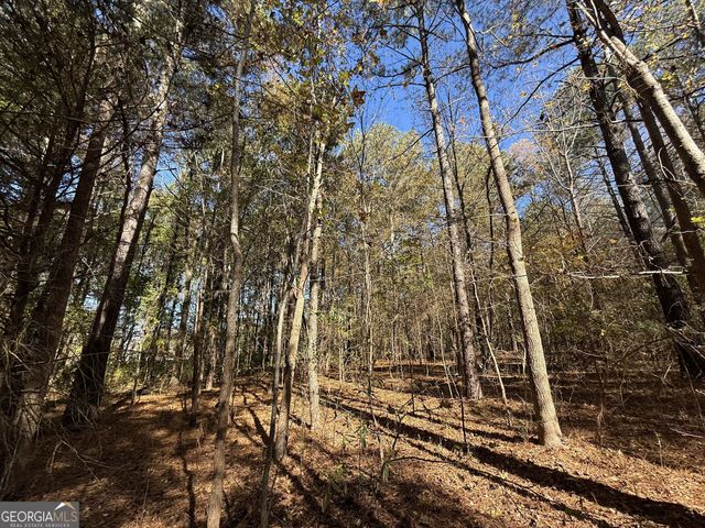 1 Lem Edwards Road, Colbert, GA 30628