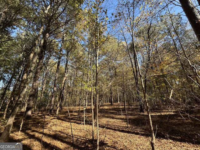 1 Lem Edwards Road, Colbert, GA 30628