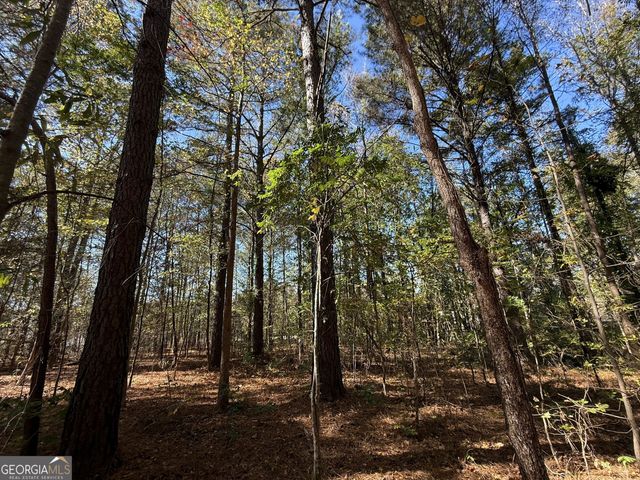 1 Lem Edwards Road, Colbert, GA 30628