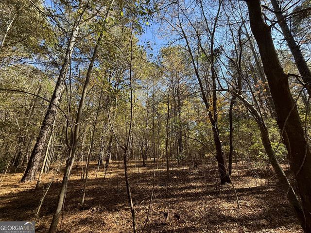 1 Lem Edwards Road, Colbert, GA 30628