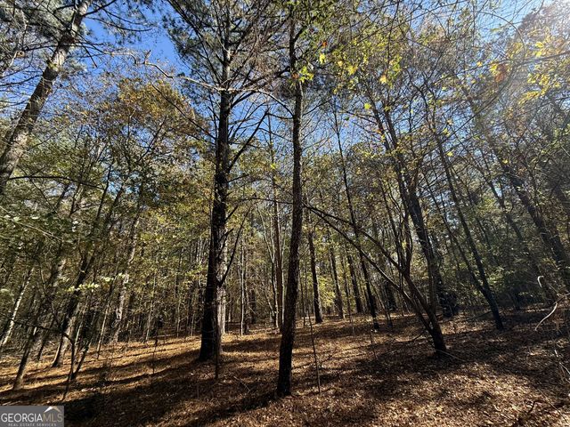 1 Lem Edwards Road, Colbert, GA 30628