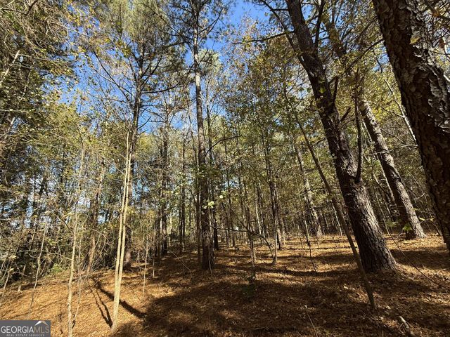 1 Lem Edwards Road, Colbert, GA 30628