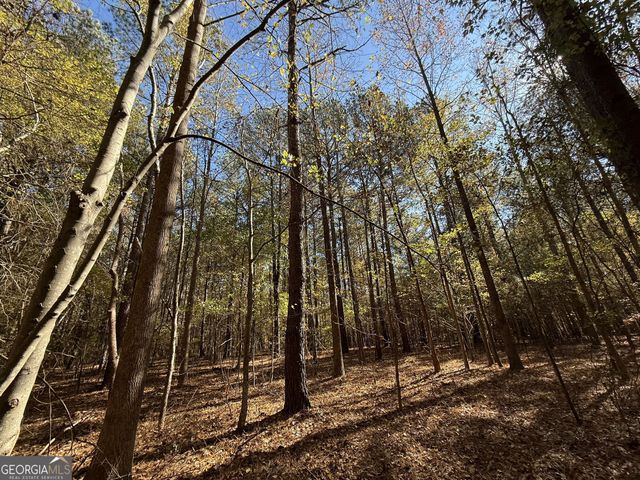 1 Lem Edwards Road, Colbert, GA 30628