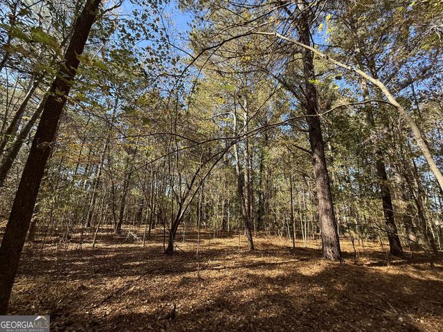 1 Lem Edwards Road, Colbert, GA 30628