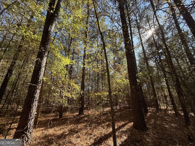 1 Lem Edwards Road, Colbert, GA 30628