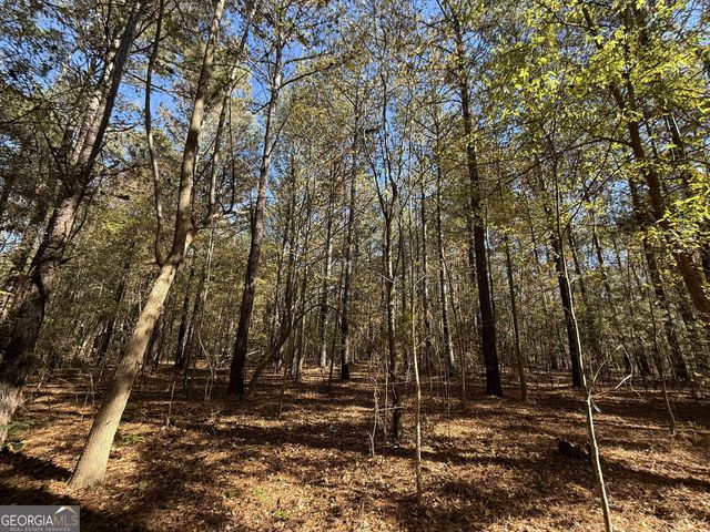 1 Lem Edwards Road, Colbert, GA 30628