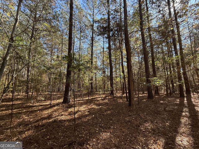 1 Lem Edwards Road, Colbert, GA 30628