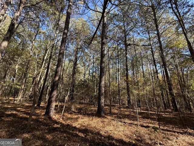 1 Lem Edwards Road, Colbert, GA 30628