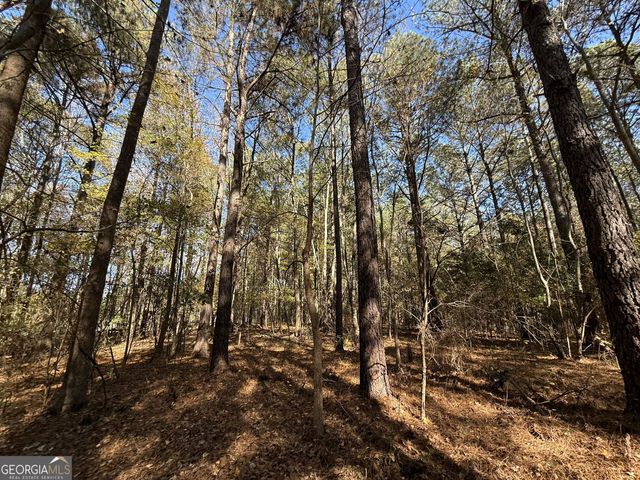 1 Lem Edwards Road, Colbert, GA 30628