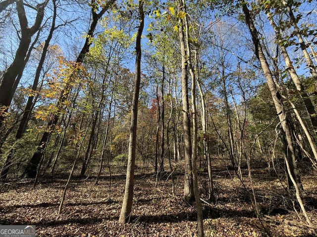 1 Lem Edwards Road, Colbert, GA 30628