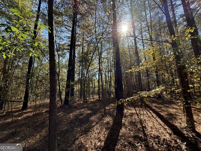 1 Lem Edwards Road, Colbert, GA 30628