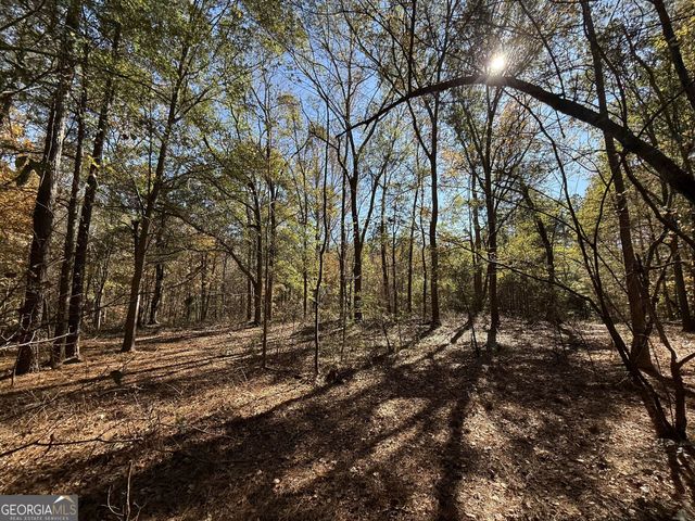 1 Lem Edwards Road, Colbert, GA 30628