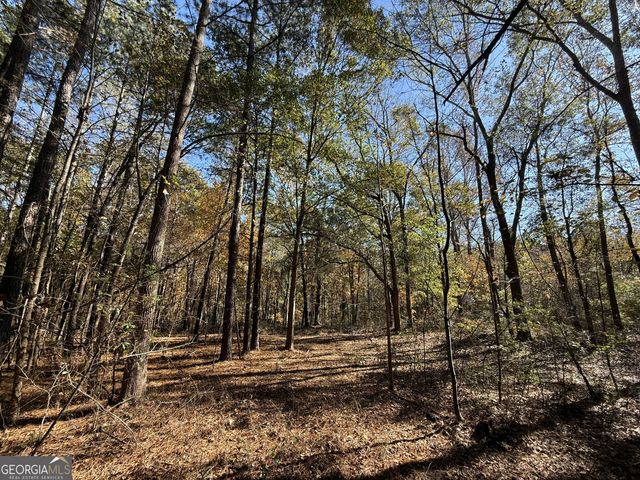 1 Lem Edwards Road, Colbert, GA 30628