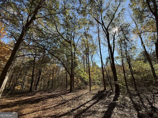 1 Lem Edwards Road, Colbert, GA 30628