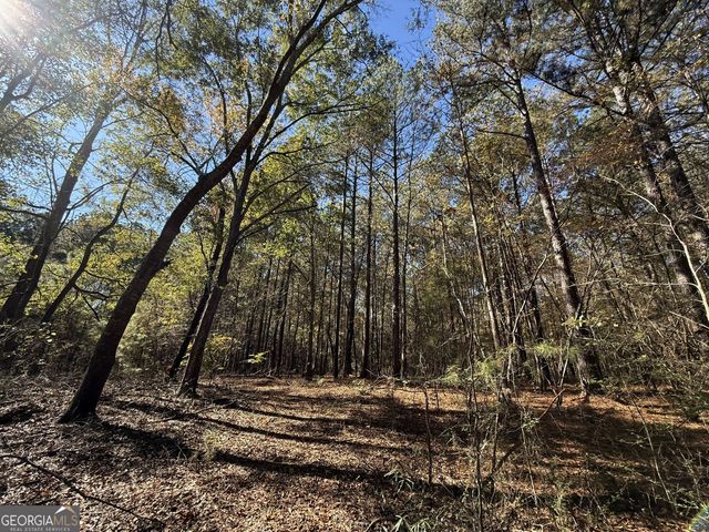 1 Lem Edwards Road, Colbert, GA 30628