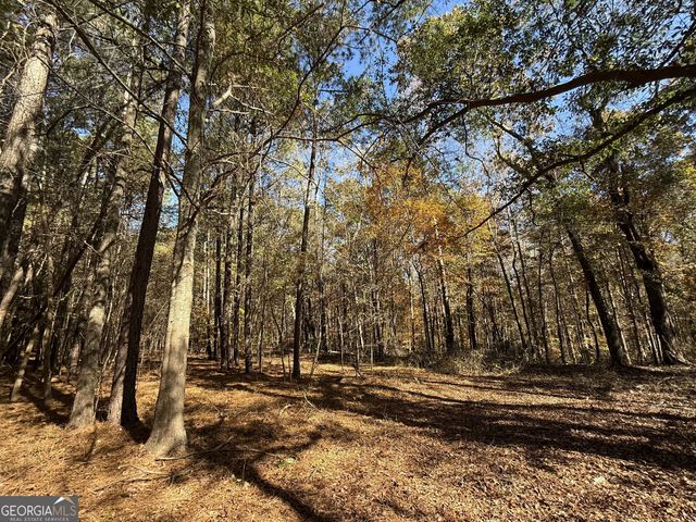 1 Lem Edwards Road, Colbert, GA 30628