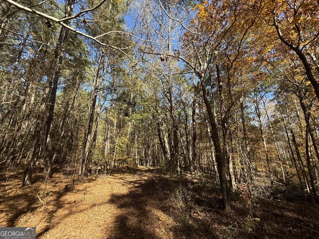 1 Lem Edwards Road, Colbert, GA 30628