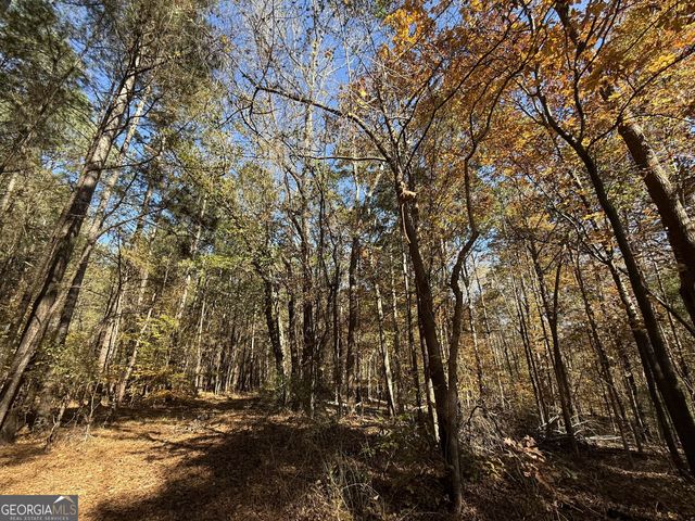 1 Lem Edwards Road, Colbert, GA 30628