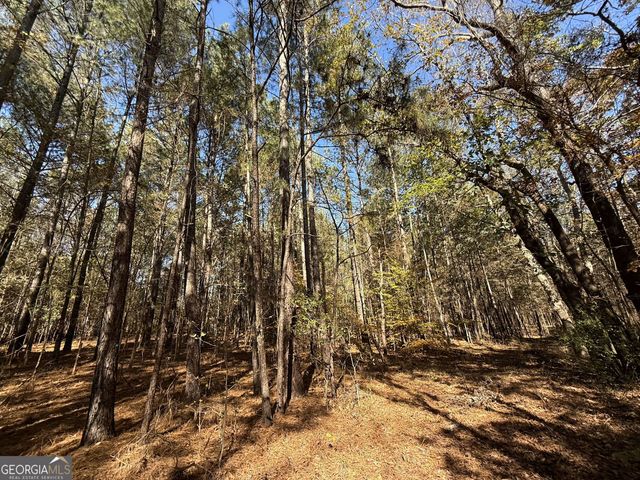 1 Lem Edwards Road, Colbert, GA 30628