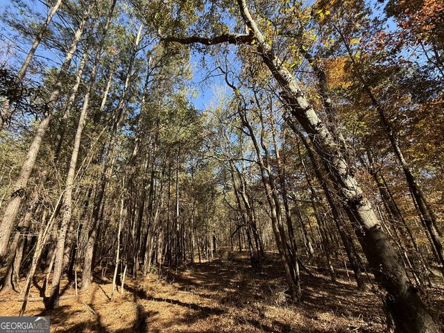 1 Lem Edwards Road, Colbert, GA 30628