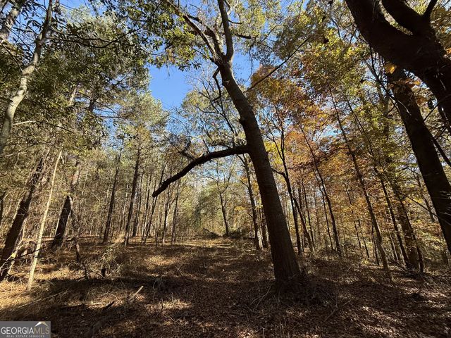 1 Lem Edwards Road, Colbert, GA 30628