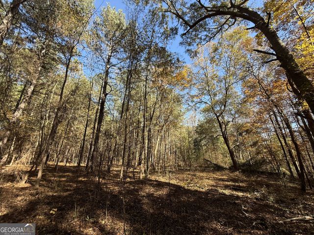 1 Lem Edwards Road, Colbert, GA 30628