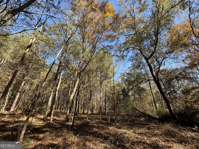 1 Lem Edwards Road, Colbert, GA 30628