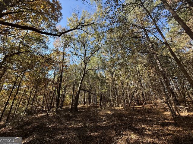 1 Lem Edwards Road, Colbert, GA 30628