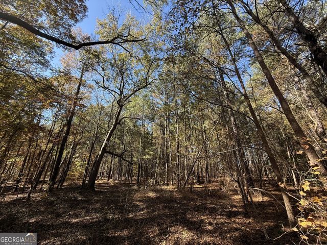 1 Lem Edwards Road, Colbert, GA 30628