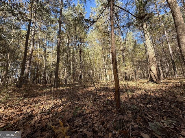 1 Lem Edwards Road, Colbert, GA 30628