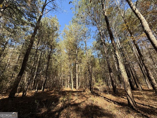 1 Lem Edwards Road, Colbert, GA 30628