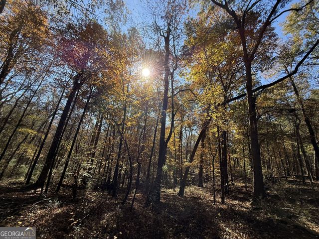 1 Lem Edwards Road, Colbert, GA 30628