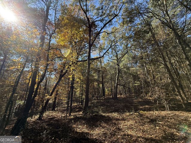 1 Lem Edwards Road, Colbert, GA 30628