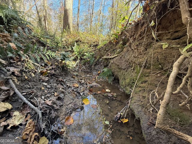 1 Lem Edwards Road, Colbert, GA 30628