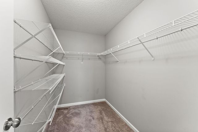 6815 91st Street S, Cottage Grove, MN 55016