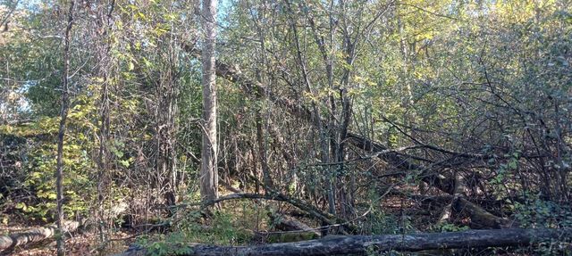 Pine Creek Dr., Burton, MI 48519