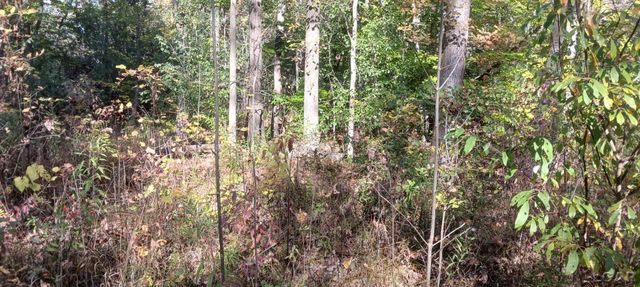 Pine Creek Dr., Burton, MI 48519