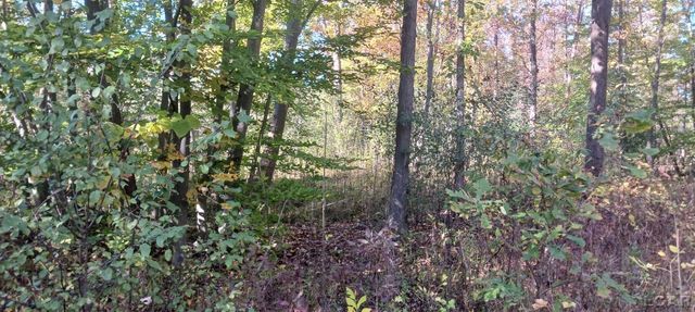 Pine Creek Dr., Burton, MI 48519